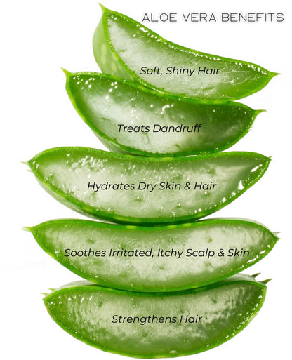 Aloe Vera Hair + Body Oil Live Like You Green It