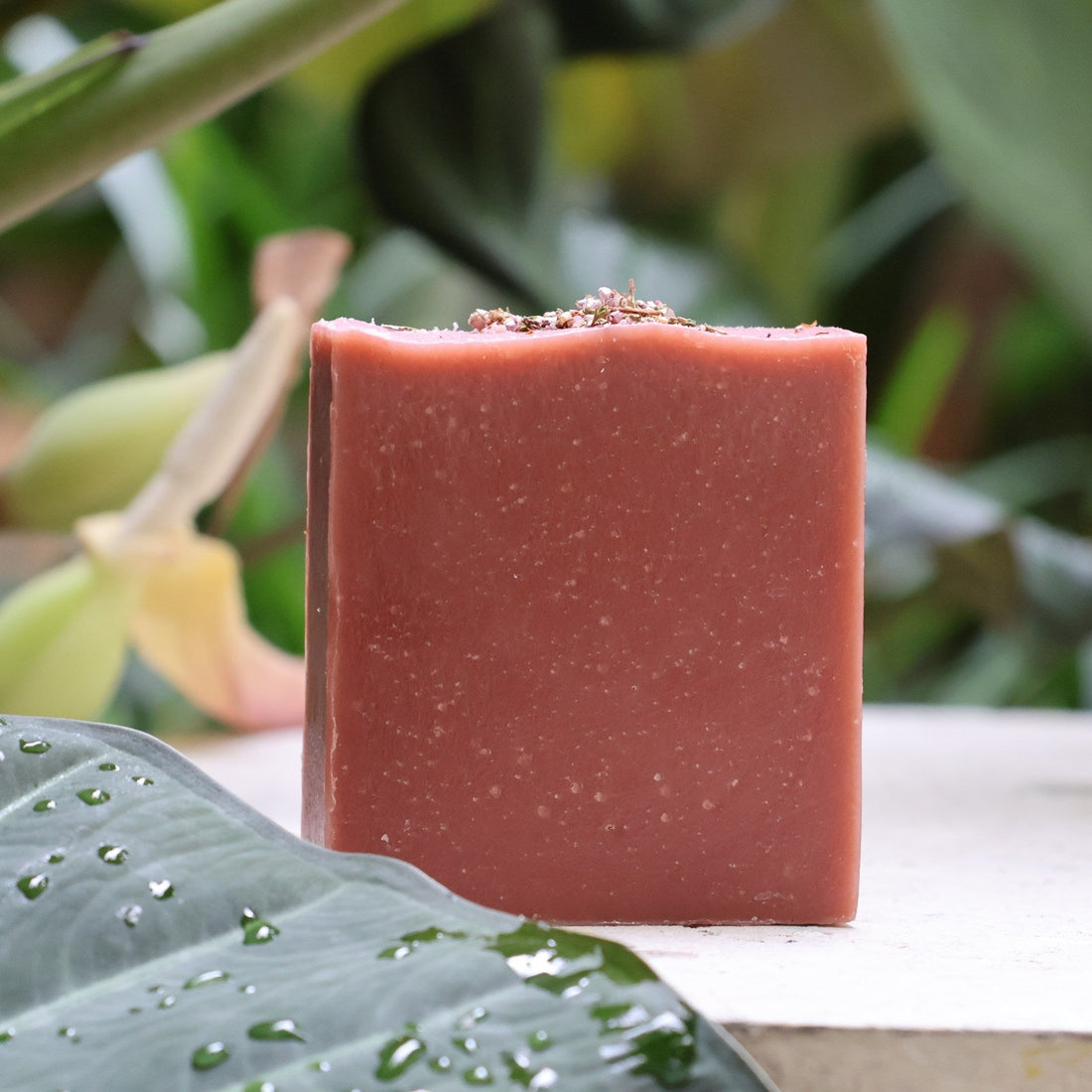 THE AMBER ROSE SOAP BAR